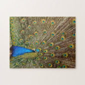 Pfauenmuster Pfauengeflecht Malerei Tier Ar Puzzle (Horizontal)