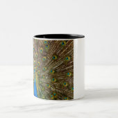 Pfauenmuster Pfauengeflecht Malerei Tier Ar Zweifarbige Tasse (Mittel)