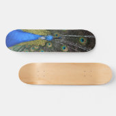 Pfauenpappe Skateboard (Horizontal)