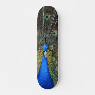 Pfauenpappe Skateboard
