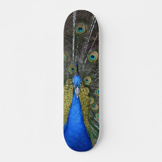 Pfauenpappe Skateboard (Vorne)