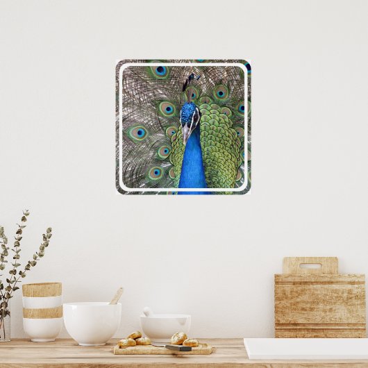 Pfauenplakat drucken poster (Küche)