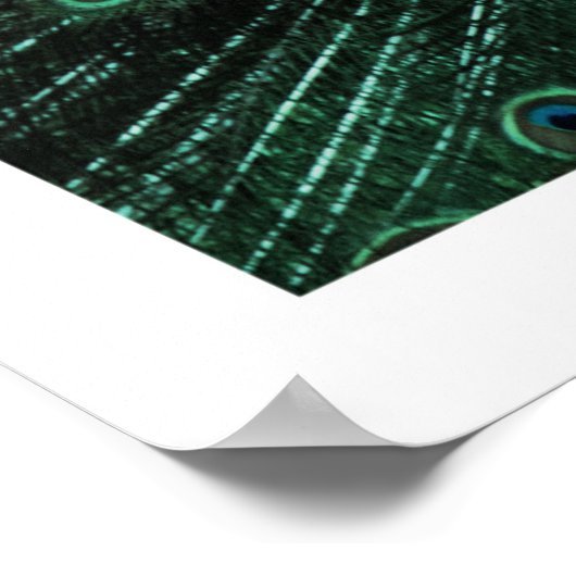 Pfauenplakat Poster (Ecke)