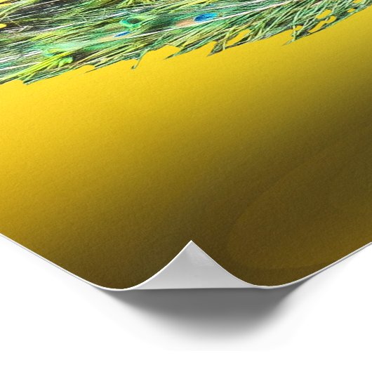 Pfauenplakat Poster (Ecke)