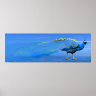 Pfauenplakat Poster