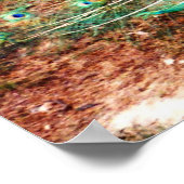 Pfauenplakat Poster (Ecke)