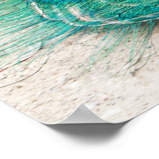 Pfauenplakat Poster (Ecke)