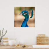 Pfauenplakat Poster (Küche)