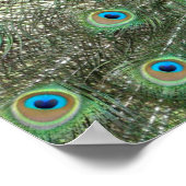 Pfauenplakat Poster (Ecke)