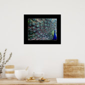 Pfauenplakat Poster (Küche)