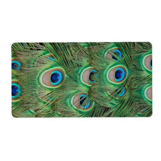 Pfauenplumpe (Vorne)