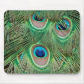 Pfauenplumpe Mousepad (Vorne)