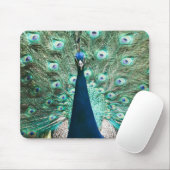Pfauenportrait Mousepad (Mit Mouse)