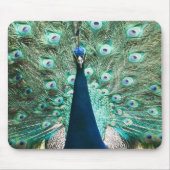 Pfauenportrait Mousepad (Vorne)