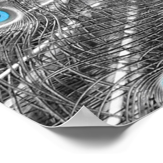 Pfauenposter mit Silber und Türkis Poster (Ecke)