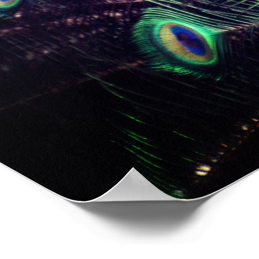 Pfauenposter - R - 0614 Poster (Ecke)