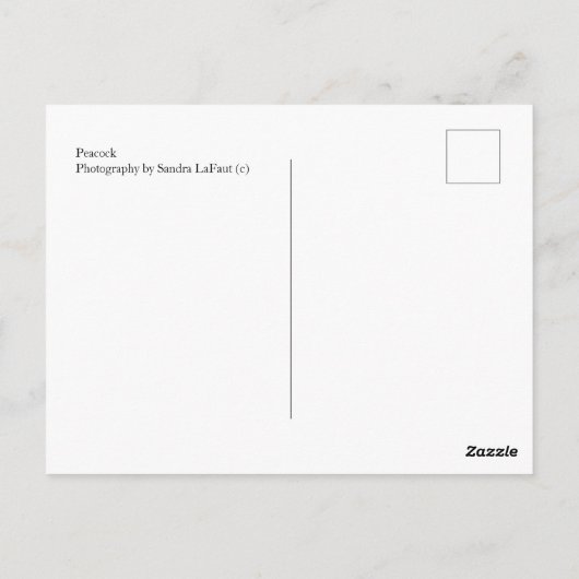 Pfauenpostkarte Postkarte (Rückseite)