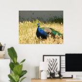 PfauenPrint Poster (Heimbüro)