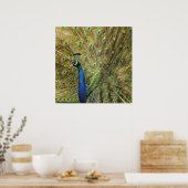 PfauenPrint Poster (Küche)