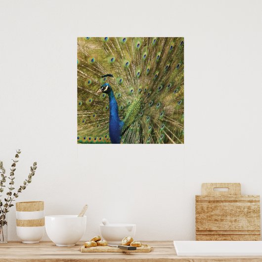 PfauenPrint Poster (Küche)