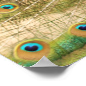 PfauenPrint Poster (Ecke)