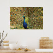 PfauenPrint Poster (Küche)