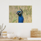 PfauenPrint Poster (Küche)