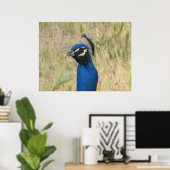 PfauenPrint Poster (Heimbüro)