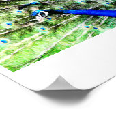 PfauenPrint Poster (Ecke)