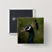 Pfauenprofil Button (Vorne & Hinten)