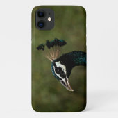 Pfauenprofil Case-Mate iPhone Hülle (Rückseite)