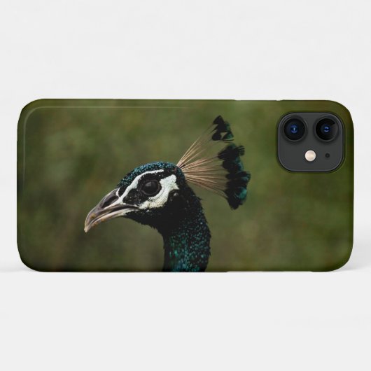 Pfauenprofil Case-Mate iPhone Hülle (Rückseite (Horizontal))