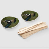 Pfauenprofil Fächer (Non-assembled)