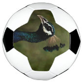 Pfauenprofil Fußball (Gedreht)