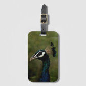 Pfauenprofil Gepäckanhänger (Vorderseite Vertikal)