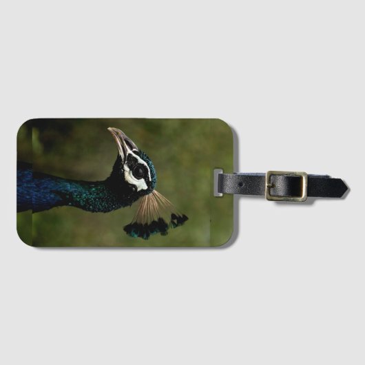 Pfauenprofil Gepäckanhänger (Vorderseite (Horizontal))
