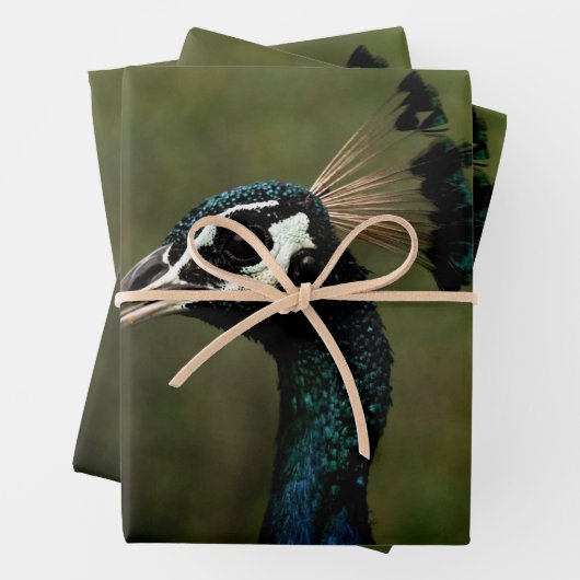 Pfauenprofil Geschenkpapier Set (Beispiel)