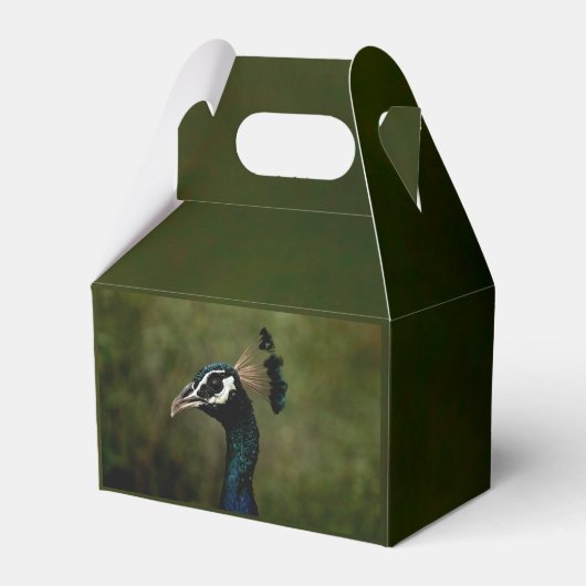 Pfauenprofil Geschenkschachtel (Vorderseite)