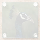 Pfauenprofil Glasuntersetzer (Rückseite)