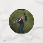 Pfauenprofil Konfetti (Klein Vorderseite)