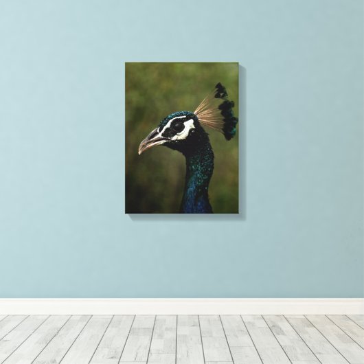 Pfauenprofil Leinwanddruck (Insitu (Holzboden))