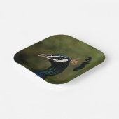 Pfauenprofil Pappteller (Gewinkelt)