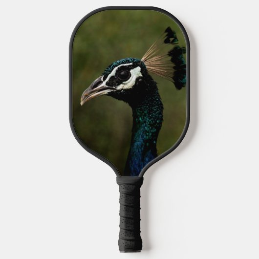Pfauenprofil Pickleball Schläger (Vorderseite)