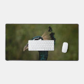 Pfauenprofil Schreibtischunterlage (Tastatur & Maus)