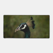 Pfauenprofil Schreibtischunterlage (Vorderseite)