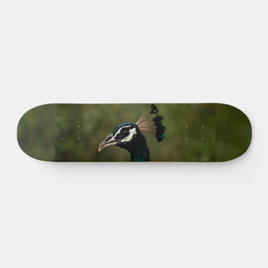 Pfauenprofil Skateboard (Horizontal)