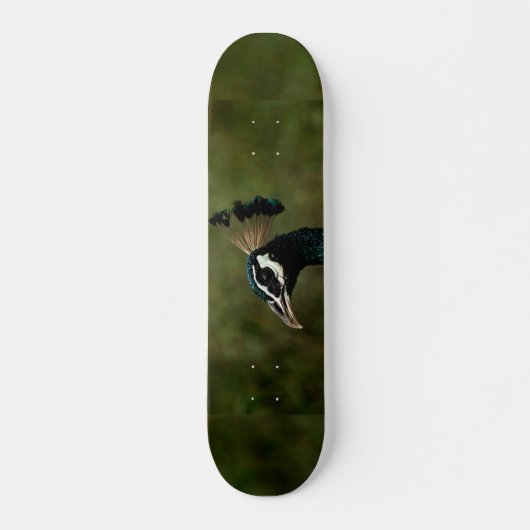 Pfauenprofil Skateboard (Vorne)