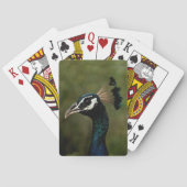 Pfauenprofil Spielkarten (Rückseite)