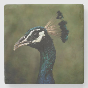 Pfauenprofil Steinuntersetzer