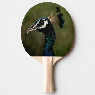 Pfauenprofil Tischtennis Schläger